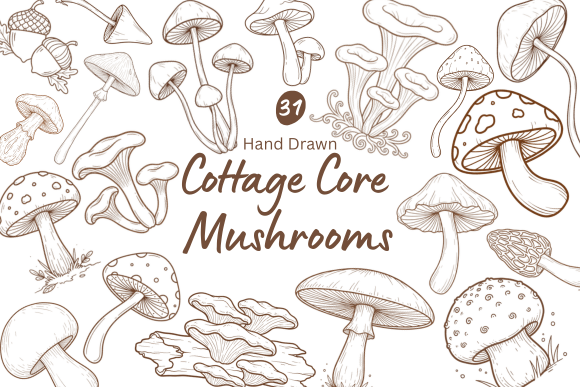 Download 31 Hand Drawn Cottagecore Mushrooms - Mushrooms Collection