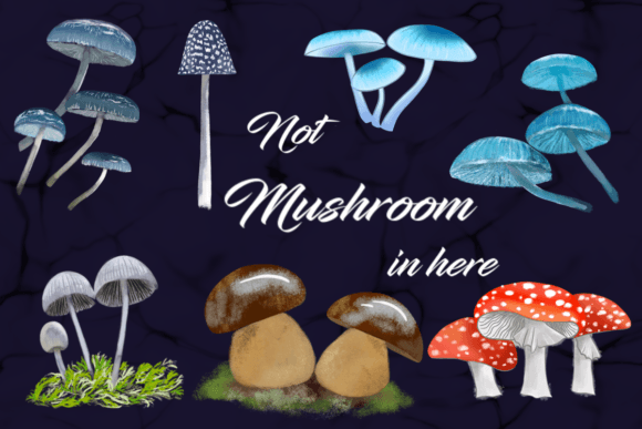 Download Mushrooms - Mushrooms Collection