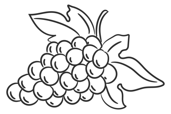 Download Grape Icon. Hand Drawn Wine Berry Bunch - Berry Collection