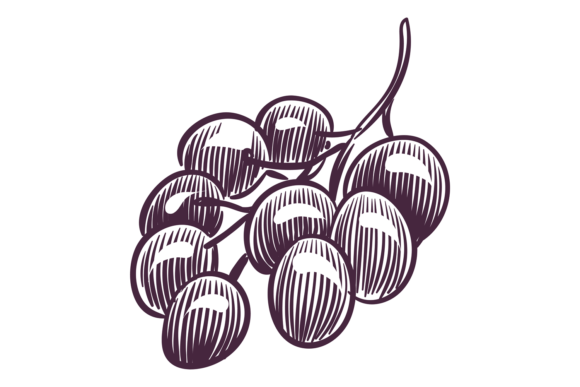 Download Grape Engraving. Wine Berry Bunch. Viney - Berry Collection